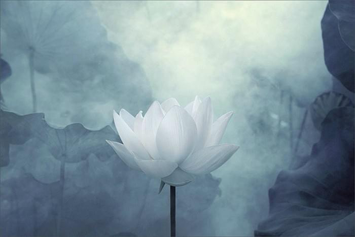 邀您欣赏佛陀所作之部份诗词歌赋!-图片37
